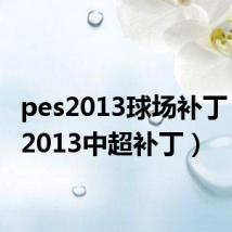 pes2013球场补丁（pes2013中超补丁）
