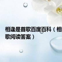相逢是首歌百度百科(相逢是首歌阅读答案)