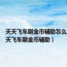 天天飞车刷金币辅助怎么用（天天飞车刷金币辅助）