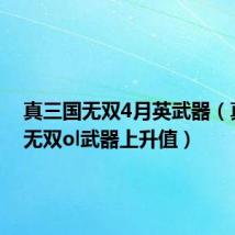 真三国无双4月英武器（真三国无双ol武器上升值）
