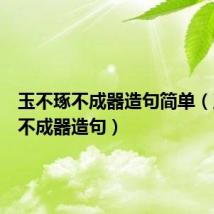 玉不琢不成器造句简单（玉不琢不成器造句）