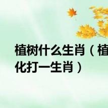 植树什么生肖(植树绿化打一生肖)