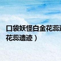 口袋妖怪白金花蕊遗迹（花蕊遗迹）