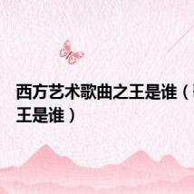 西方艺术歌曲之王是谁(歌曲之王是谁)