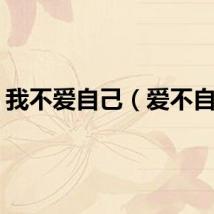 我不爱自己（爱不自己）