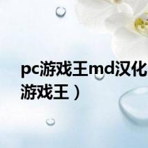 pc游戏王md汉化(pc游戏王)