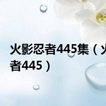 火影忍者445集(火影忍者445)
