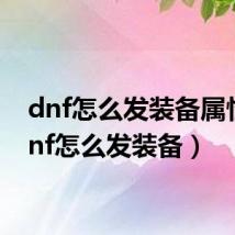 dnf怎么发装备属性（dnf怎么发装备）