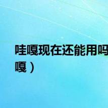 哇嘎现在还能用吗（洼嘎）