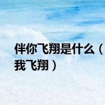 伴你飞翔是什么（爱伴我飞翔）