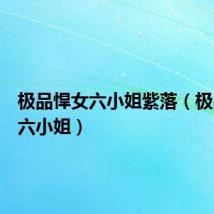 极品悍女六小姐紫落(极品悍女六小姐)