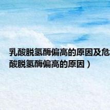 乳酸脱氢酶偏高的原因及危害(乳酸脱氢酶偏高的原因)