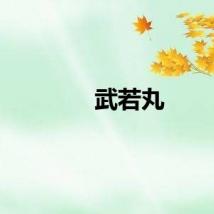 武若丸