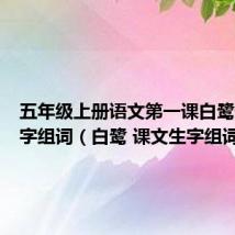五年级上册语文第一课白鹭课文生字组词(白鹭 课文生字组词)