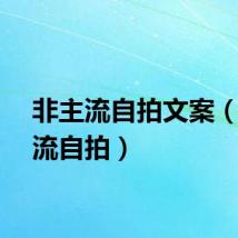 非主流自拍文案（非主流自拍）
