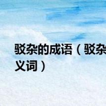 驳杂的成语（驳杂的近义词）