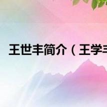 王世丰简介（王学丰）