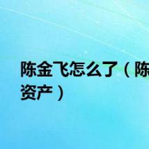 陈金飞怎么了（陈金飞资产）