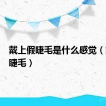 戴上假睫毛是什么感觉(戴上假睫毛)