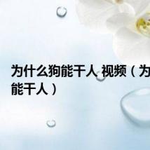 为什么狗能干人 视频(为什么狗能干人)