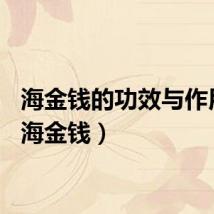 海金钱的功效与作用图（海金钱）