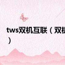 tws双机互联（双机互联）