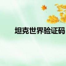坦克世界验证码