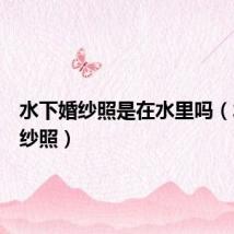 水下婚纱照是在水里吗(水下婚纱照)