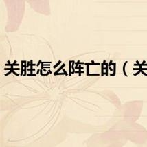 关胜怎么阵亡的（关胜）