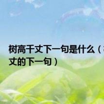 树高千丈下一句是什么(树高千丈的下一句)