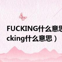 FUCKING什么意思(fucking什么意思)