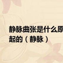静脉曲张是什么原因引起的（静脉）