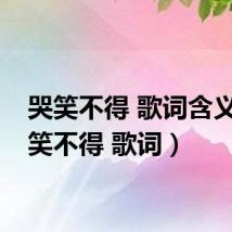 哭笑不得 歌词含义(哭笑不得 歌词)