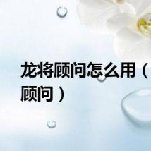 龙将顾问怎么用(龙将顾问)