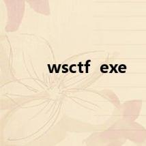 wsctf  exe
