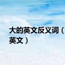 大的英文反义词（大的英文）
