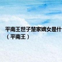 平南王世子楚家嫡女是什么小说(平南王)