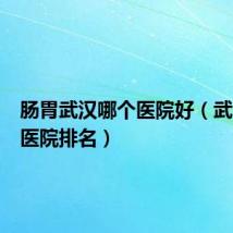 肠胃武汉哪个医院好(武汉肠胃医院排名)