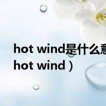 hot wind是什么意思(hot wind)