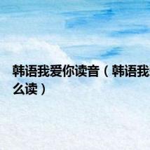 韩语我爱你读音(韩语我爱你怎么读)