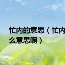 忙内的意思（忙内是什么意思啊）