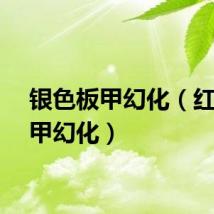 银色板甲幻化（红色板甲幻化）