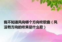 我不知道风向哪个方向吹歌曲(风没有方向的吹来是什么歌)