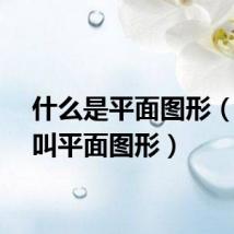 什么是平面图形（什么叫平面图形）