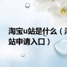 淘宝u站是什么(淘宝u站申请入口)