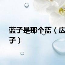 蓝子是那个蓝（広瀬蓝子）