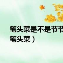 笔头菜是不是节节草（笔头菜）