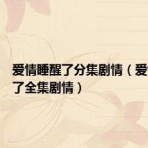 爱情睡醒了分集剧情(爱情睡醒了全集剧情)