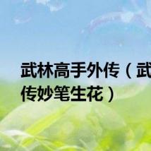 武林高手外传（武林外传妙笔生花）