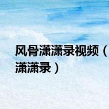 风骨潇潇录视频（风骨潇潇录）